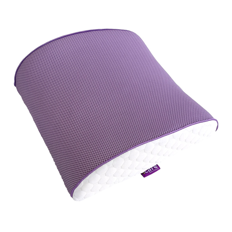 ICare Back Cushion